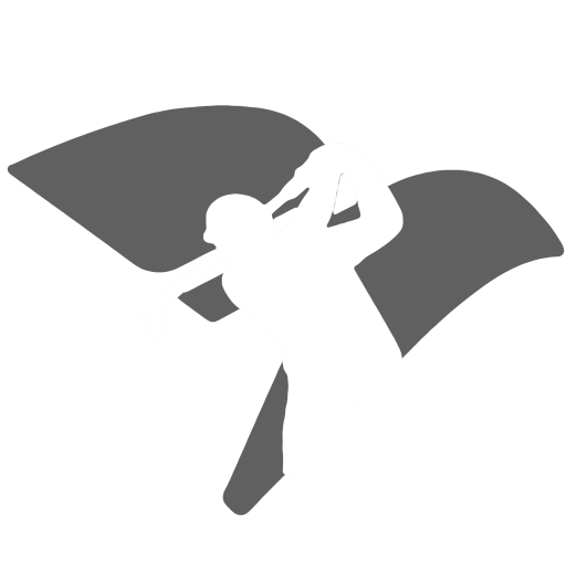 BIRDIE GOLF